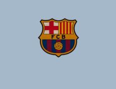 半岛体育官方网站 :大坂直美官方宣布反败为胜新规，中国队引发争议！气势如虹延续